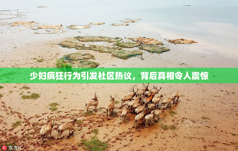 少妇疯狂行为引发社区热议，背后真相令人震惊