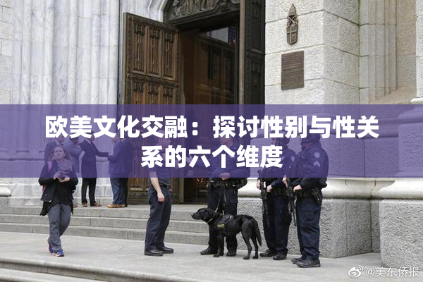 欧美文化交融：探讨性别与性关系的六个维度