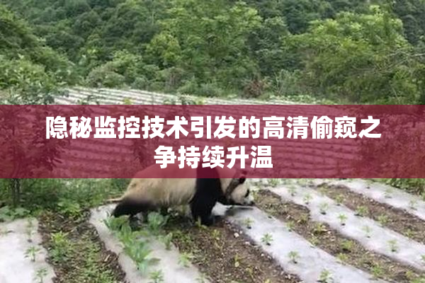 隐秘监控技术引发的高清偷窥之争持续升温