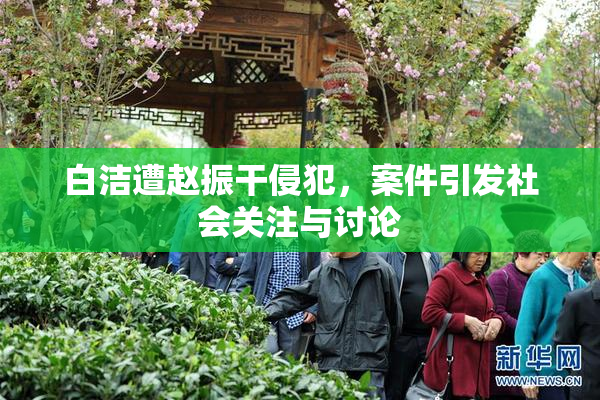 白洁遭赵振干侵犯，案件引发社会关注与讨论