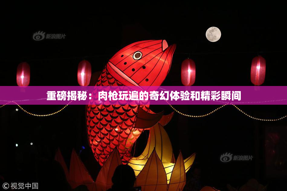 重磅揭秘：肉枪玩遍的奇幻体验和精彩瞬间