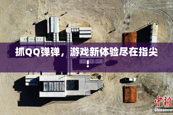 抓QQ弹弹，游戏新体验尽在指尖！