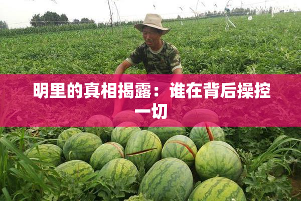 明里的真相揭露：谁在背后操控一切