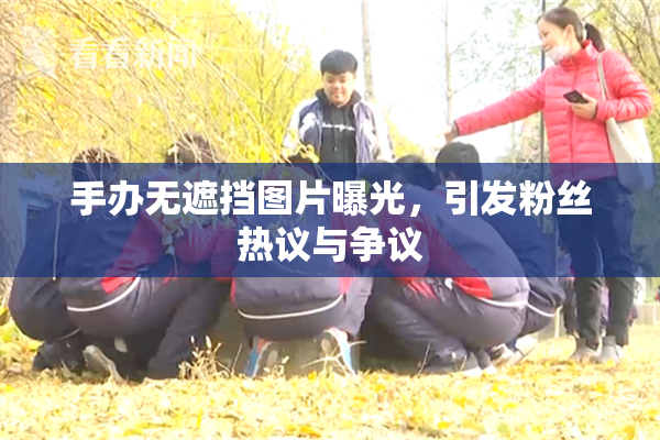手办无遮挡图片曝光，引发粉丝热议与争议