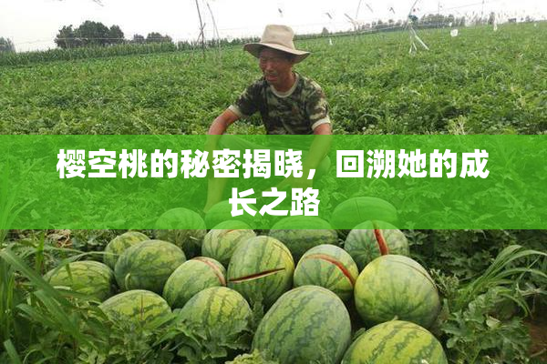 樱空桃的秘密揭晓，回溯她的成长之路