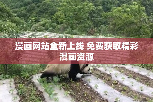 漫画网站全新上线 免费获取精彩漫画资源