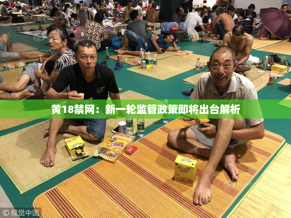 黄18禁网：新一轮监管政策即将出台解析