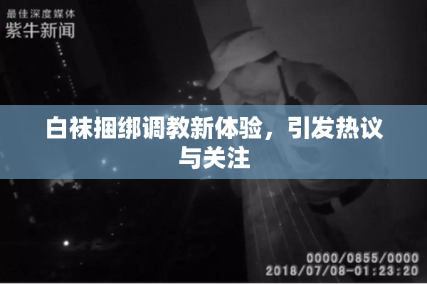 白袜捆绑调教新体验，引发热议与关注