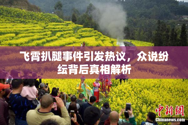 飞霄扒腿事件引发热议，众说纷纭背后真相解析