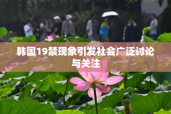韩国19禁现象引发社会广泛讨论与关注