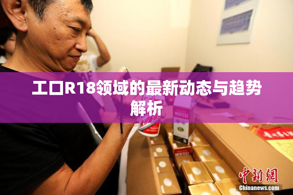 工口R18领域的最新动态与趋势解析