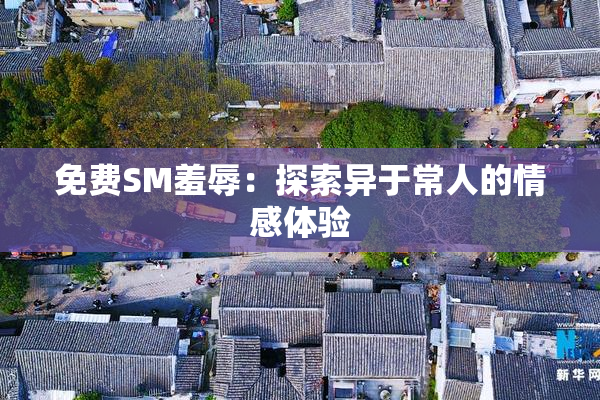 免费SM羞辱：探索异于常人的情感体验
