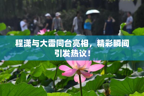程潇与大雷同台亮相，精彩瞬间引发热议！