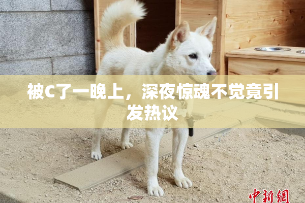 被C了一晚上，深夜惊魂不觉竟引发热议
