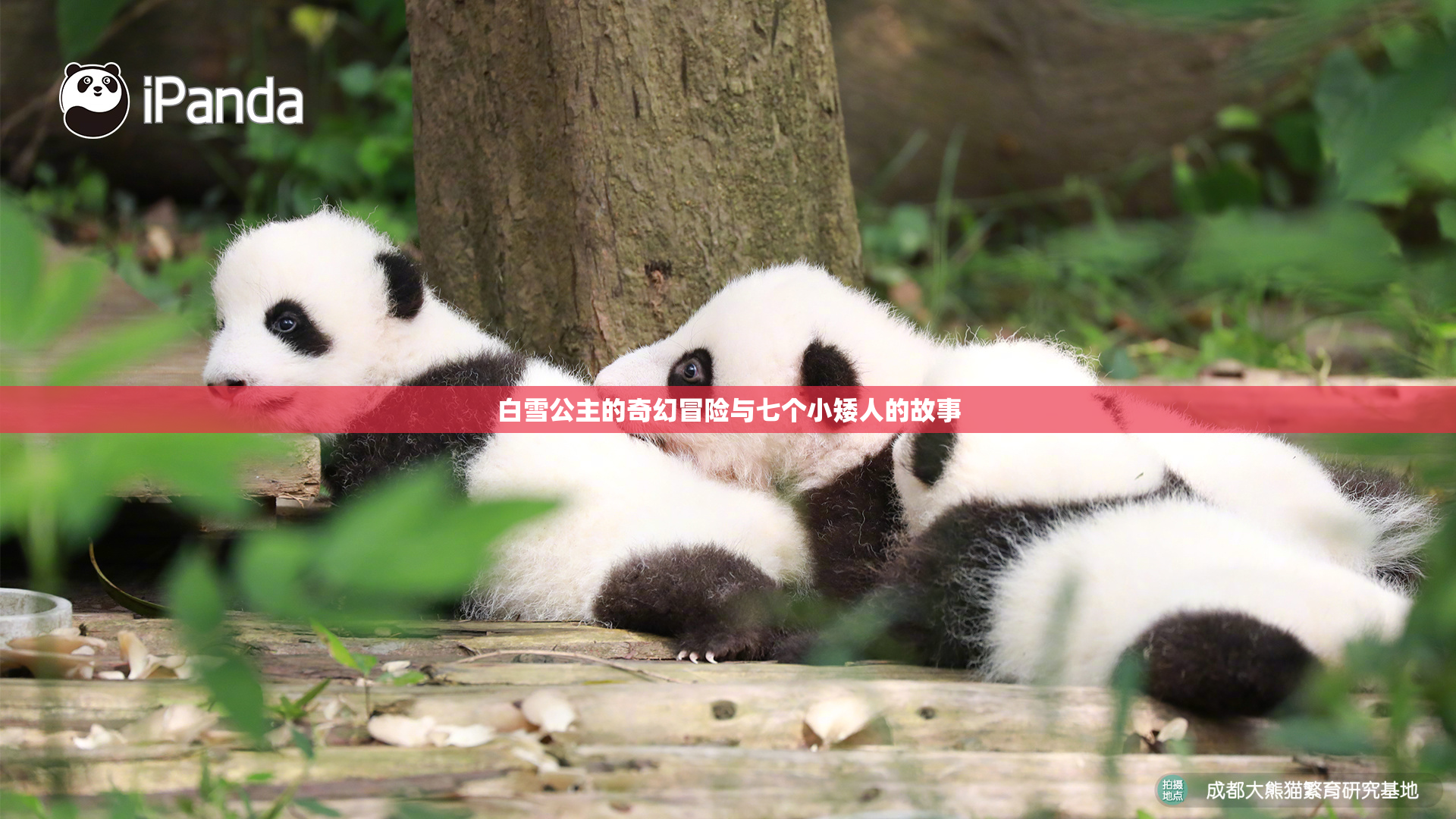 白雪公主的奇幻冒险与七个小矮人的故事
