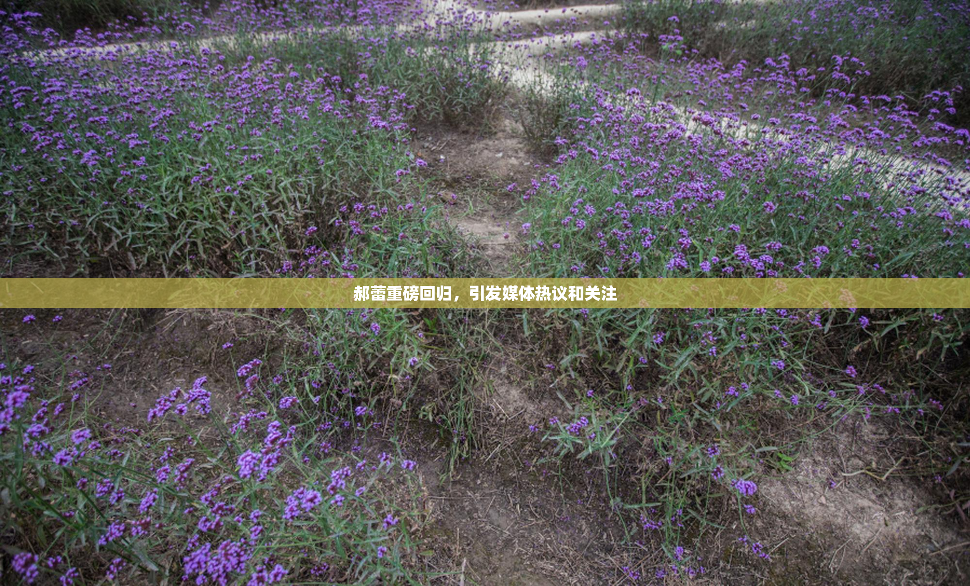 郝蕾重磅回归，引发媒体热议和关注