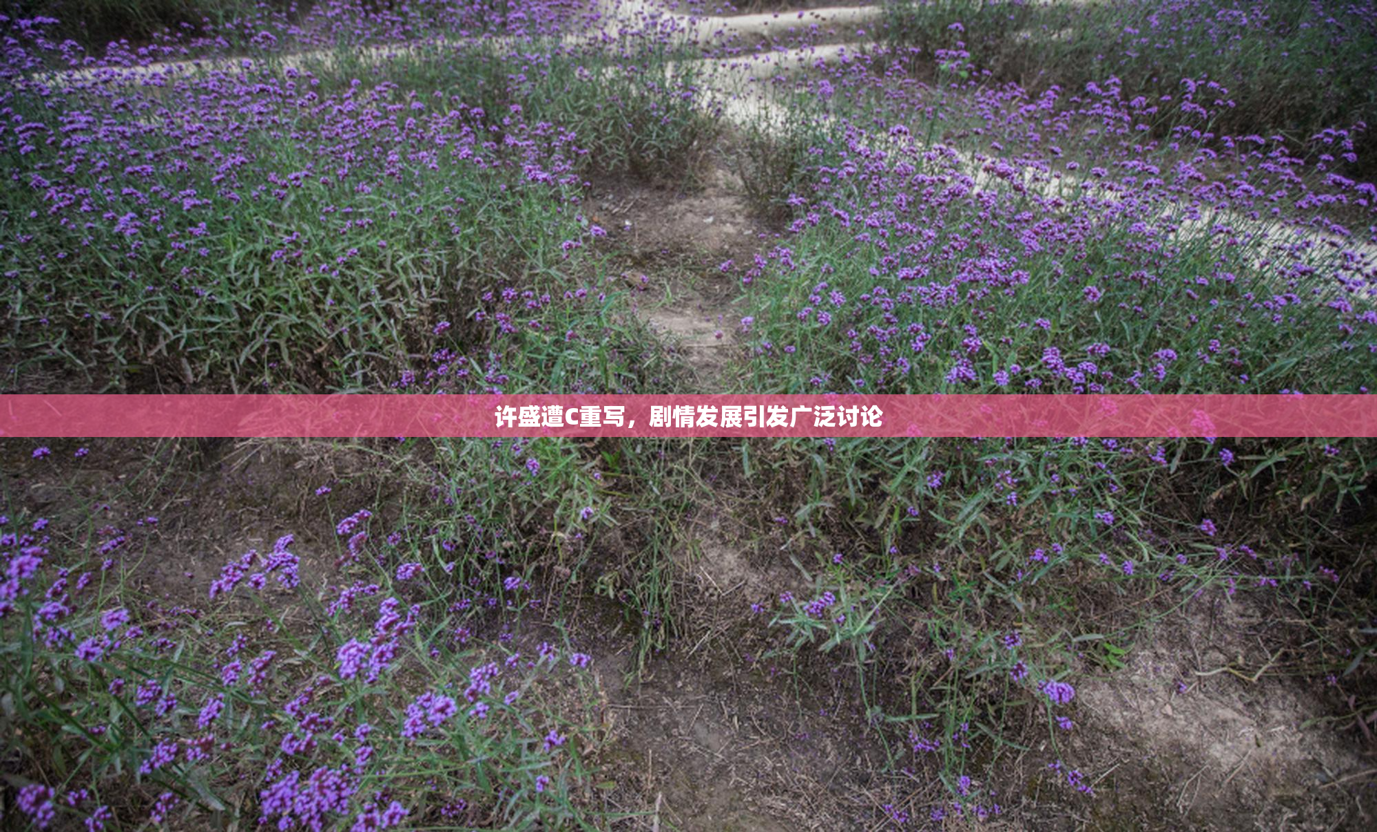 许盛遭C重写，剧情发展引发广泛讨论