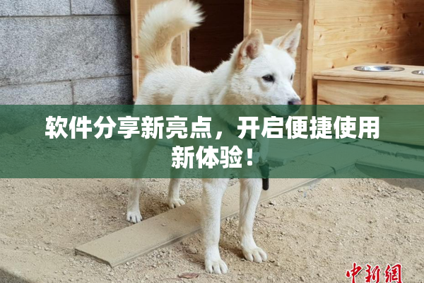 软件分享新亮点，开启便捷使用新体验！