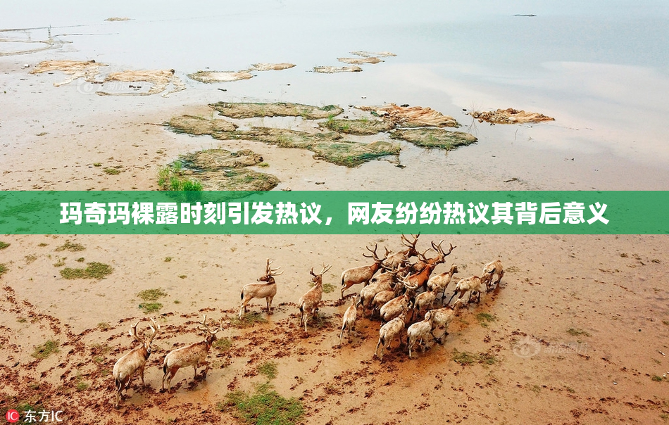 玛奇玛裸露时刻引发热议，网友纷纷热议其背后意义