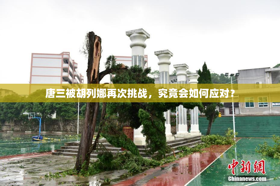 唐三被胡列娜再次挑战，究竟会如何应对？