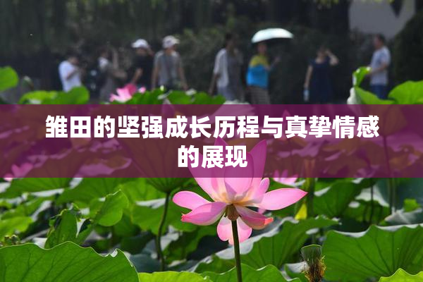 雏田的坚强成长历程与真挚情感的展现