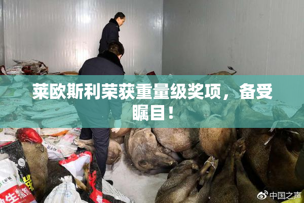 莱欧斯利荣获重量级奖项，备受瞩目！
