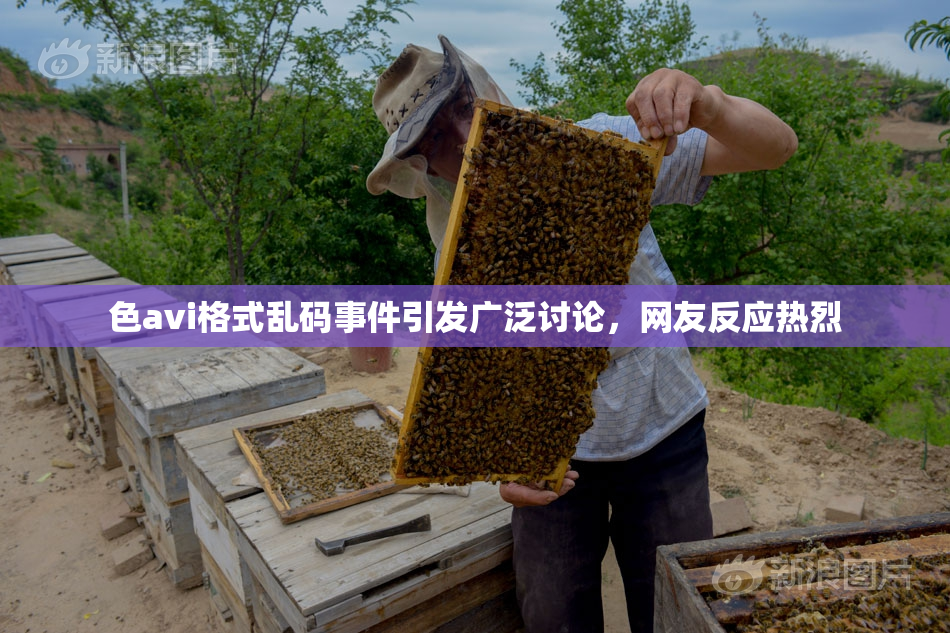 色avi格式乱码事件引发广泛讨论，网友反应热烈