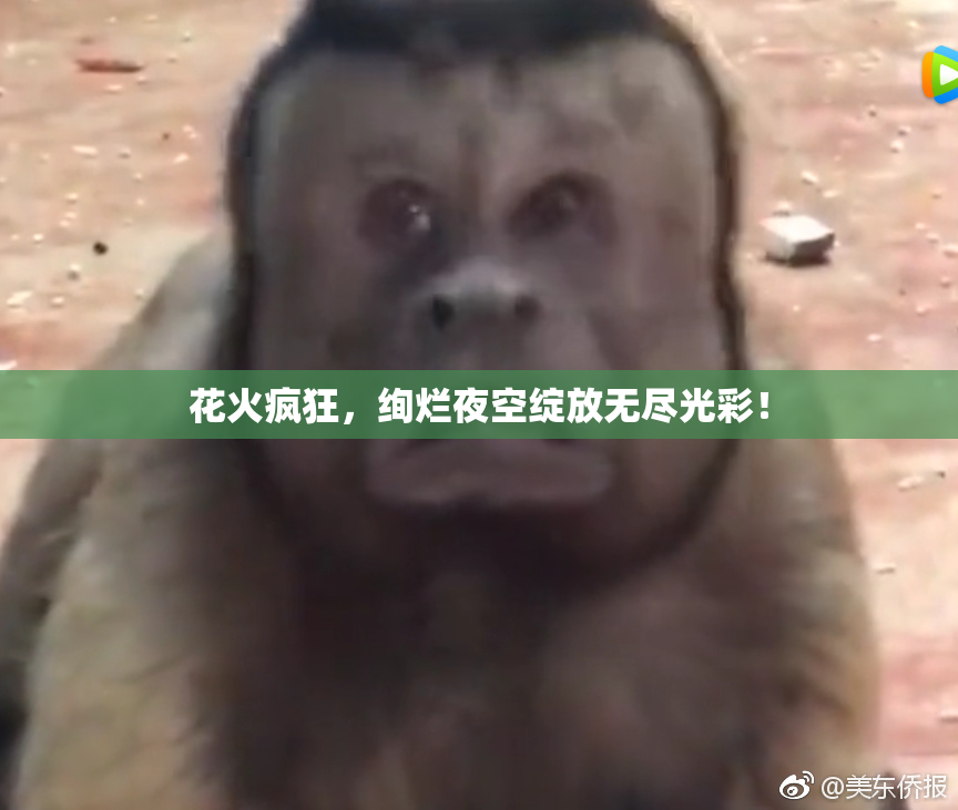 花火疯狂，绚烂夜空绽放无尽光彩！