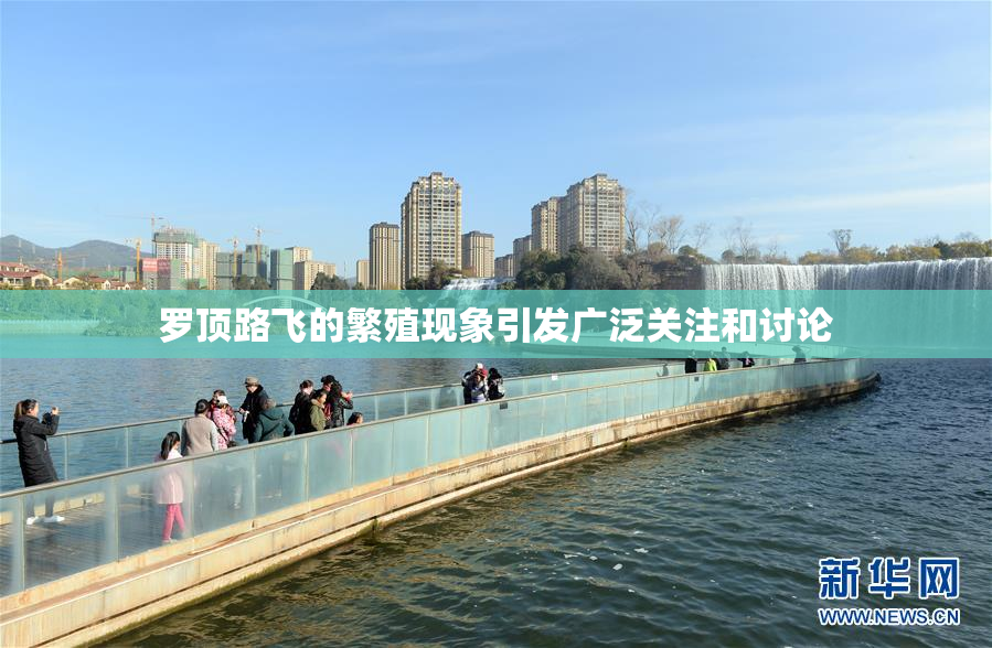 罗顶路飞的繁殖现象引发广泛关注和讨论