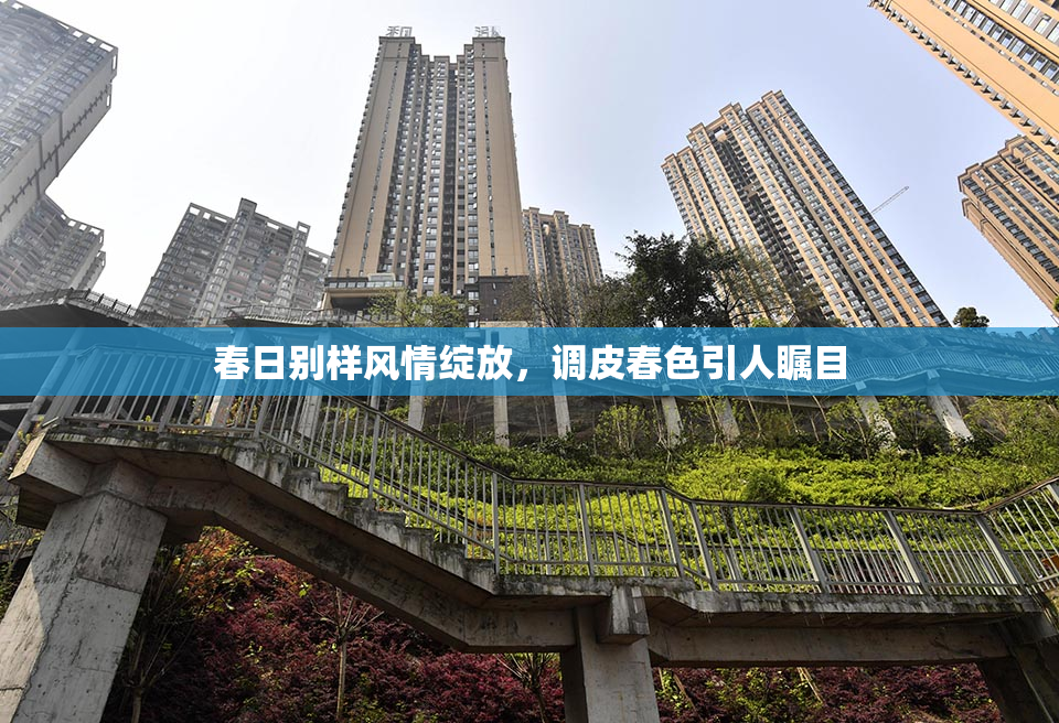 春日别样风情绽放，调皮春色引人瞩目