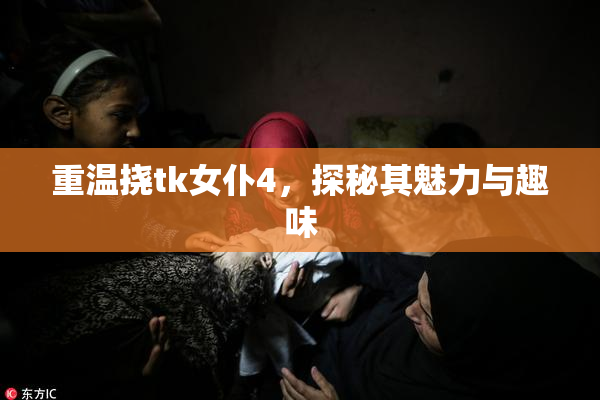 重温挠tk女仆4，探秘其魅力与趣味