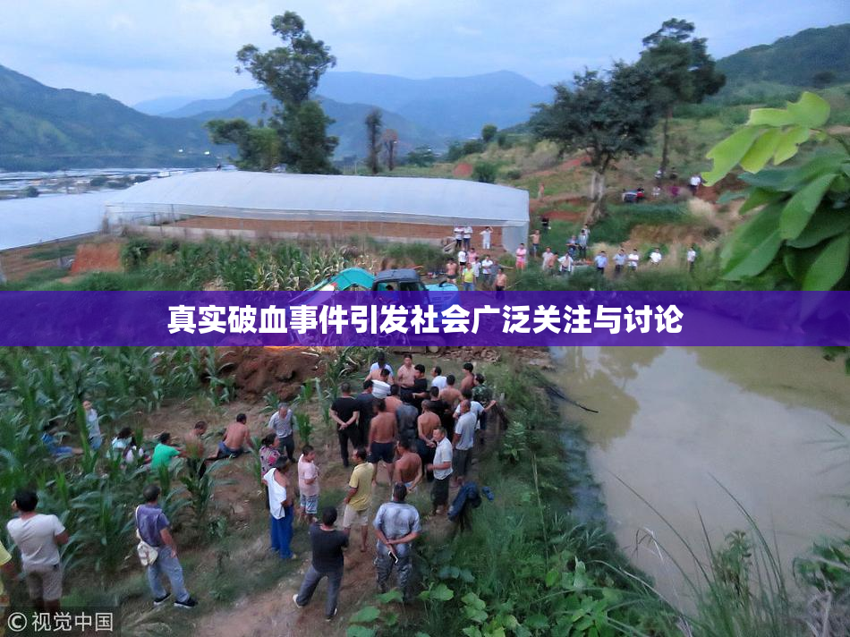 真实破血事件引发社会广泛关注与讨论