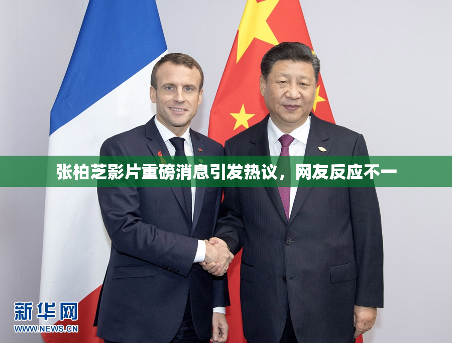 张柏芝影片重磅消息引发热议，网友反应不一