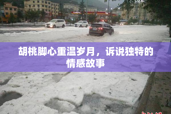 胡桃脚心重温岁月，诉说独特的情感故事