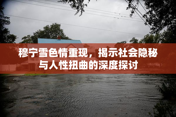 穆宁雪色情重现，揭示社会隐秘与人性扭曲的深度探讨