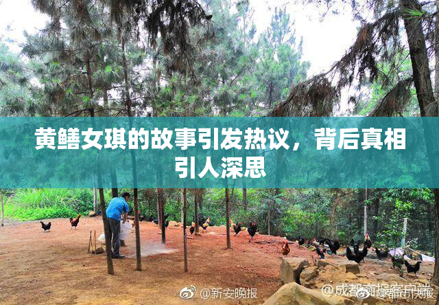 黄鳝女琪的故事引发热议，背后真相引人深思