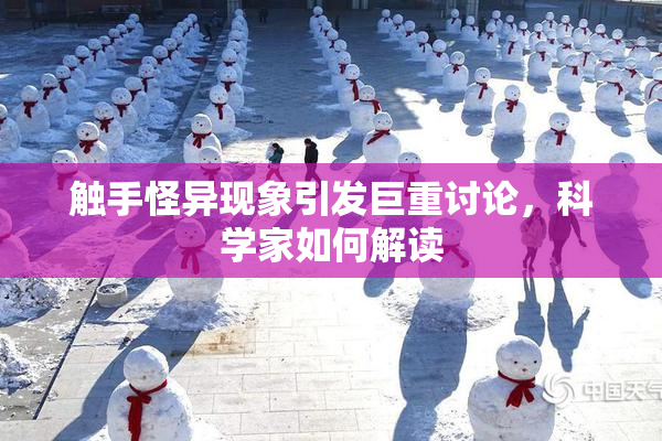 触手怪异现象引发巨重讨论，科学家如何解读