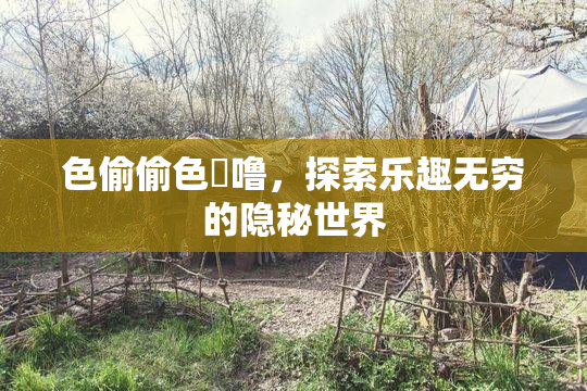 色偷偷色嚕噜，探索乐趣无穷的隐秘世界
