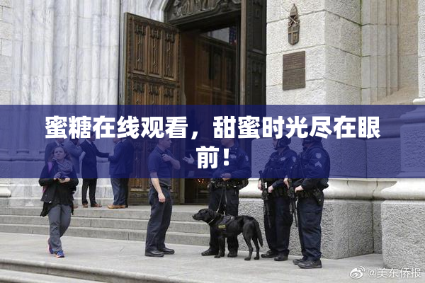 蜜糖在线观看，甜蜜时光尽在眼前！