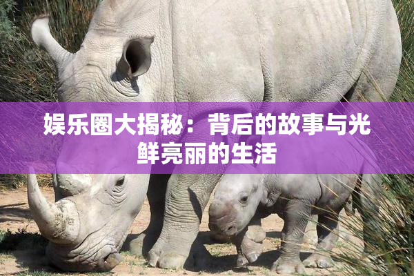 娱乐圈大揭秘：背后的故事与光鲜亮丽的生活