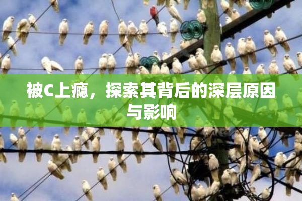 被C上瘾，探索其背后的深层原因与影响