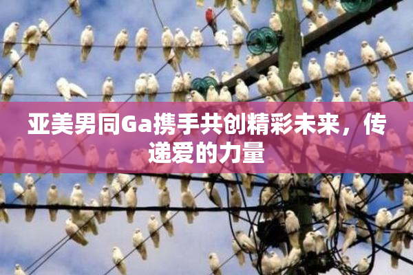 亚美男同Ga携手共创精彩未来，传递爱的力量