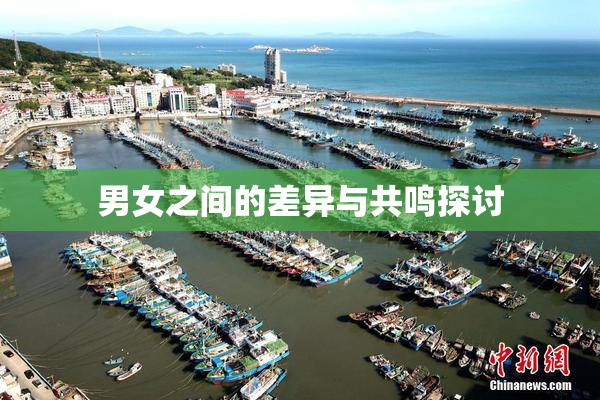 男女之间的差异与共鸣探讨
