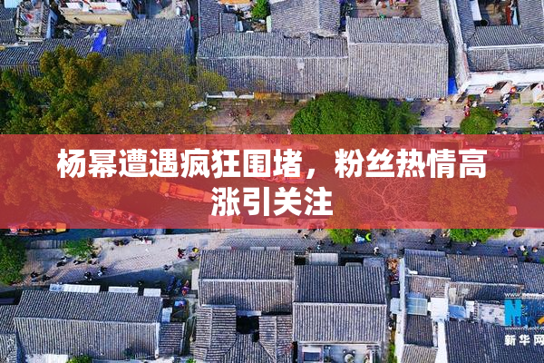 杨幂遭遇疯狂围堵，粉丝热情高涨引关注