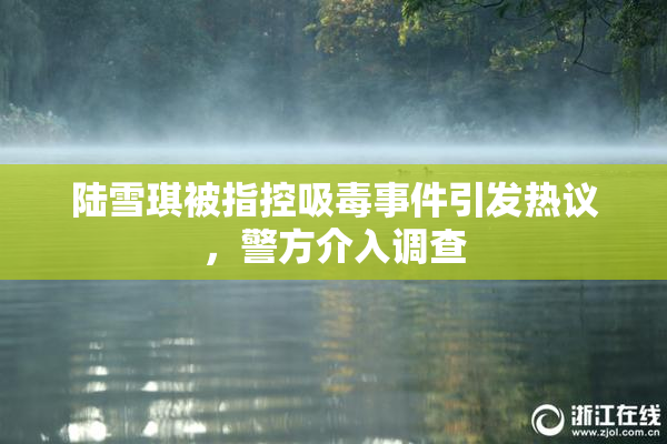 陆雪琪被指控吸毒事件引发热议，警方介入调查