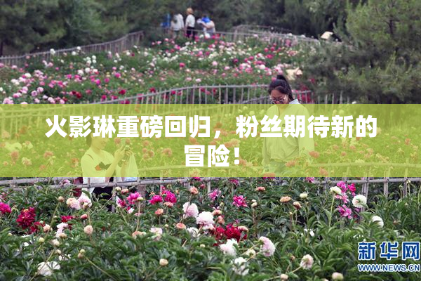 火影琳重磅回归，粉丝期待新的冒险！