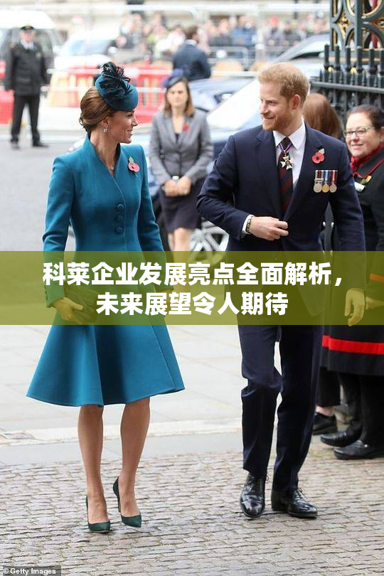科莱企业发展亮点全面解析，未来展望令人期待