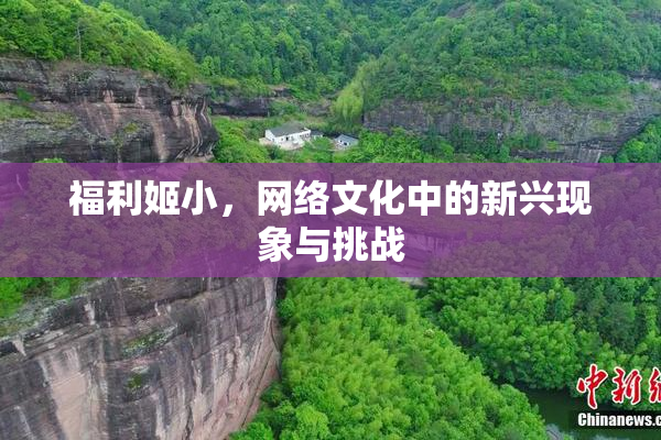 福利姬小，网络文化中的新兴现象与挑战