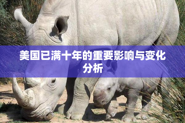 美国已满十年的重要影响与变化分析