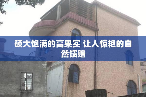 硕大饱满的高果实 让人惊艳的自然馈赠